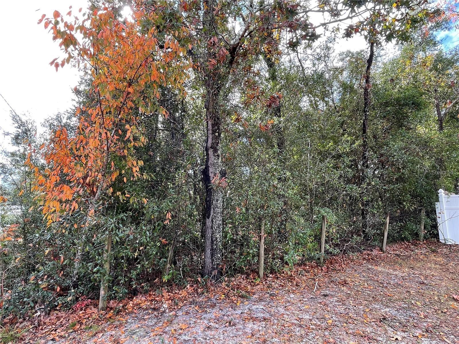 Image 3 of 12 For Lot 37 Se 92nd Ter