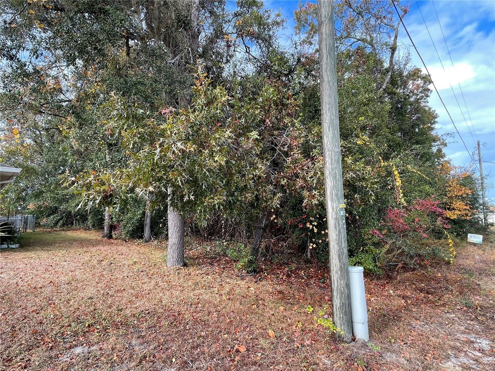 Image 7 of 12 For Lot 37 Se 92nd Ter