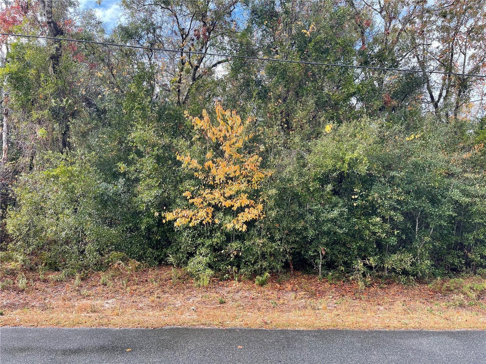 Image 8 of 12 For Lot 37 Se 92nd Ter