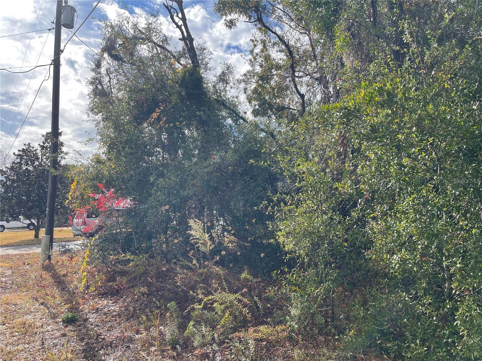 Image 9 of 12 For Lot 37 Se 92nd Ter