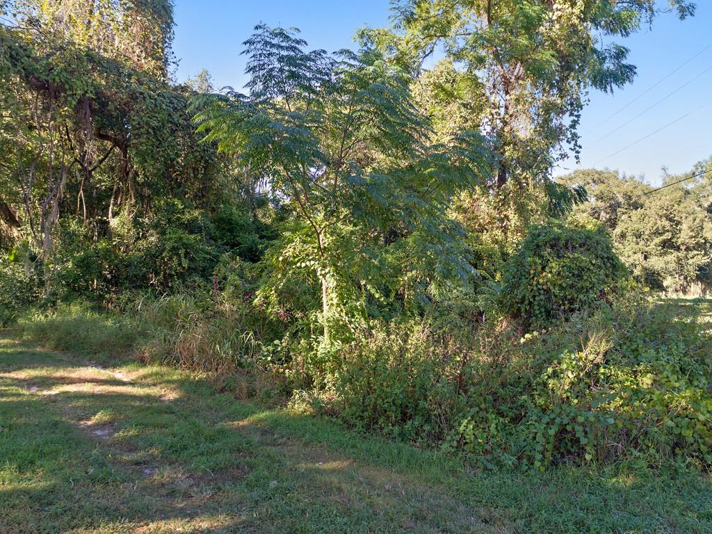 Image 6 of 6 For Mills Street