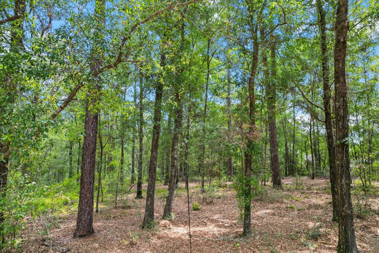 Image 43 of 45 For 9273 Rhine Way