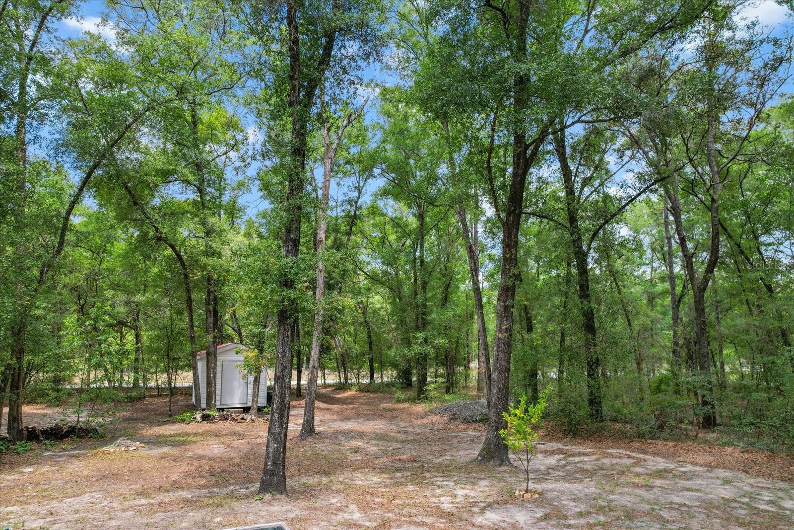 Image 44 of 45 For 9273 Rhine Way