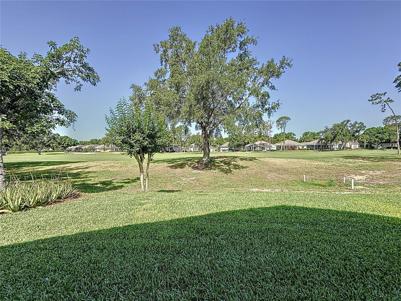 Image 5 of 69 For 3706 Doune Way