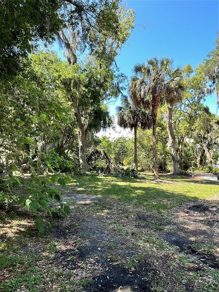 Image 6 of 7 For 305 Gaines Street