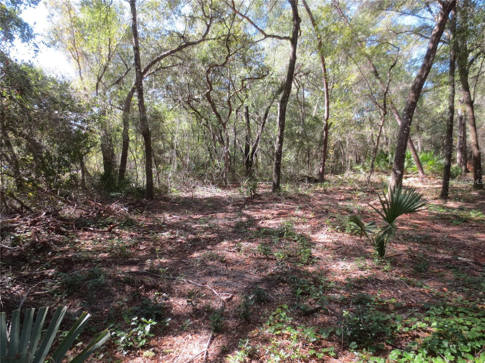 Details for  11th Street , SILVER SPRINGS, FL 34488