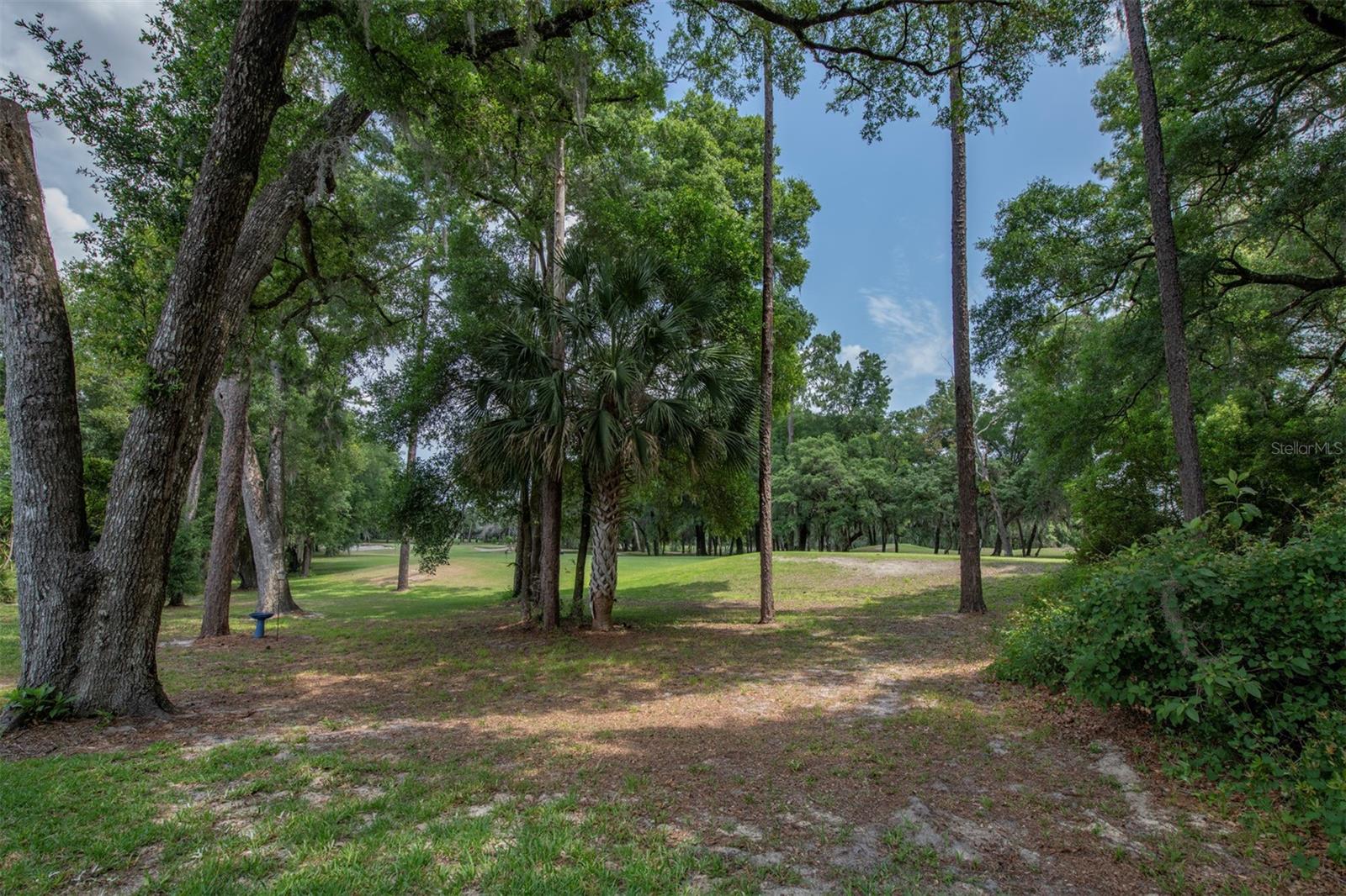 Image 47 of 64 For 179 Birchmont Drive