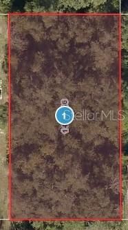Listing Details for  Elm Street , LADY LAKE, FL 32159