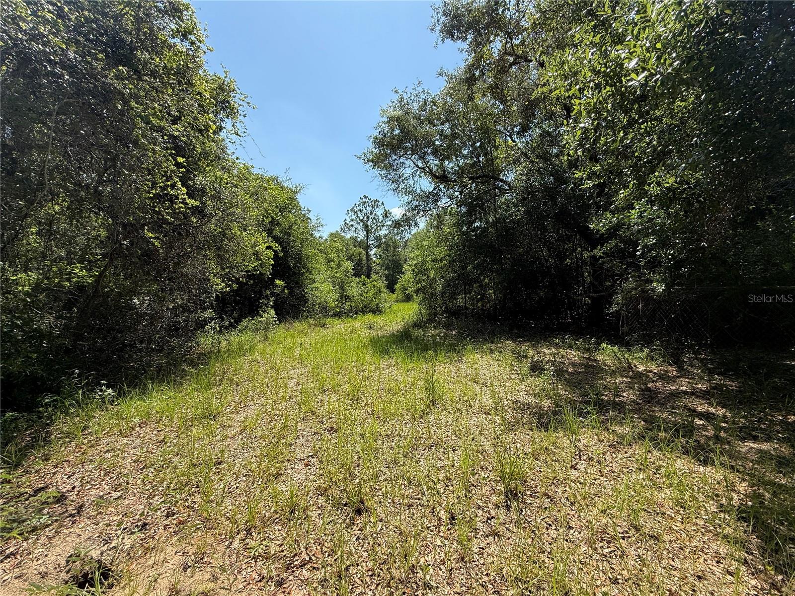 Image 45 of 49 For 27610 Debbie Road