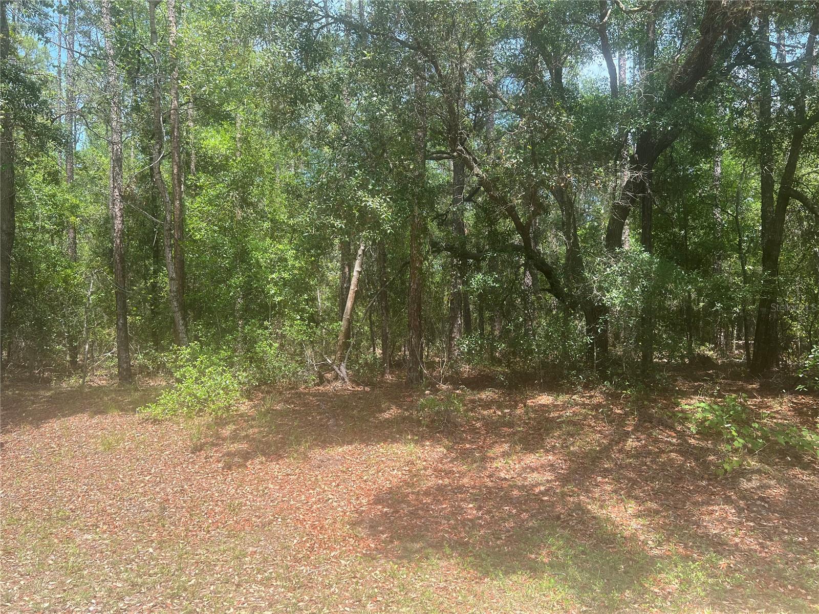 Listing Details for 8729 Wallingford Avenue, DUNNELLON, FL 34434