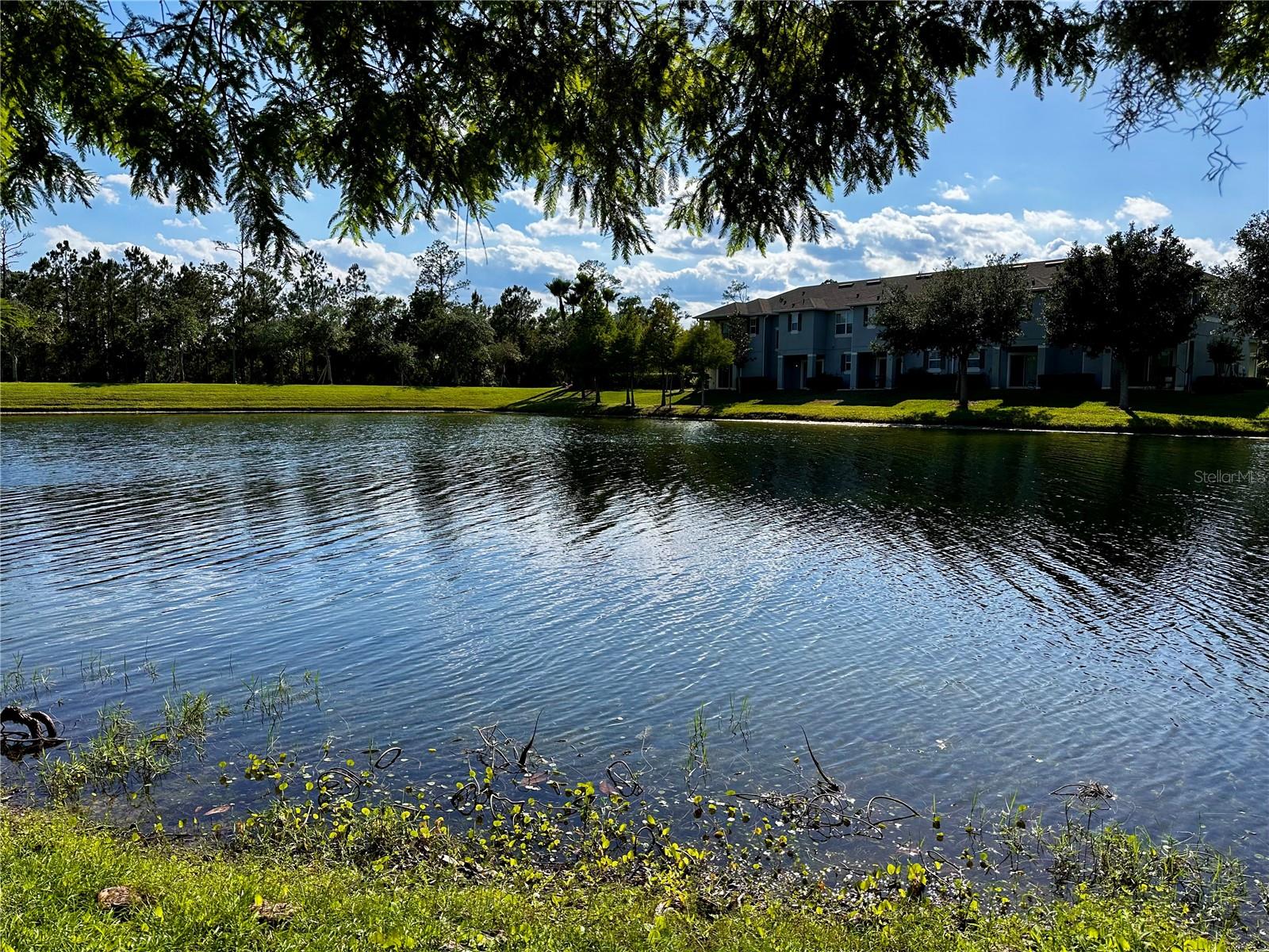 Image 15 of 21 For 147 Aston Grande Drive