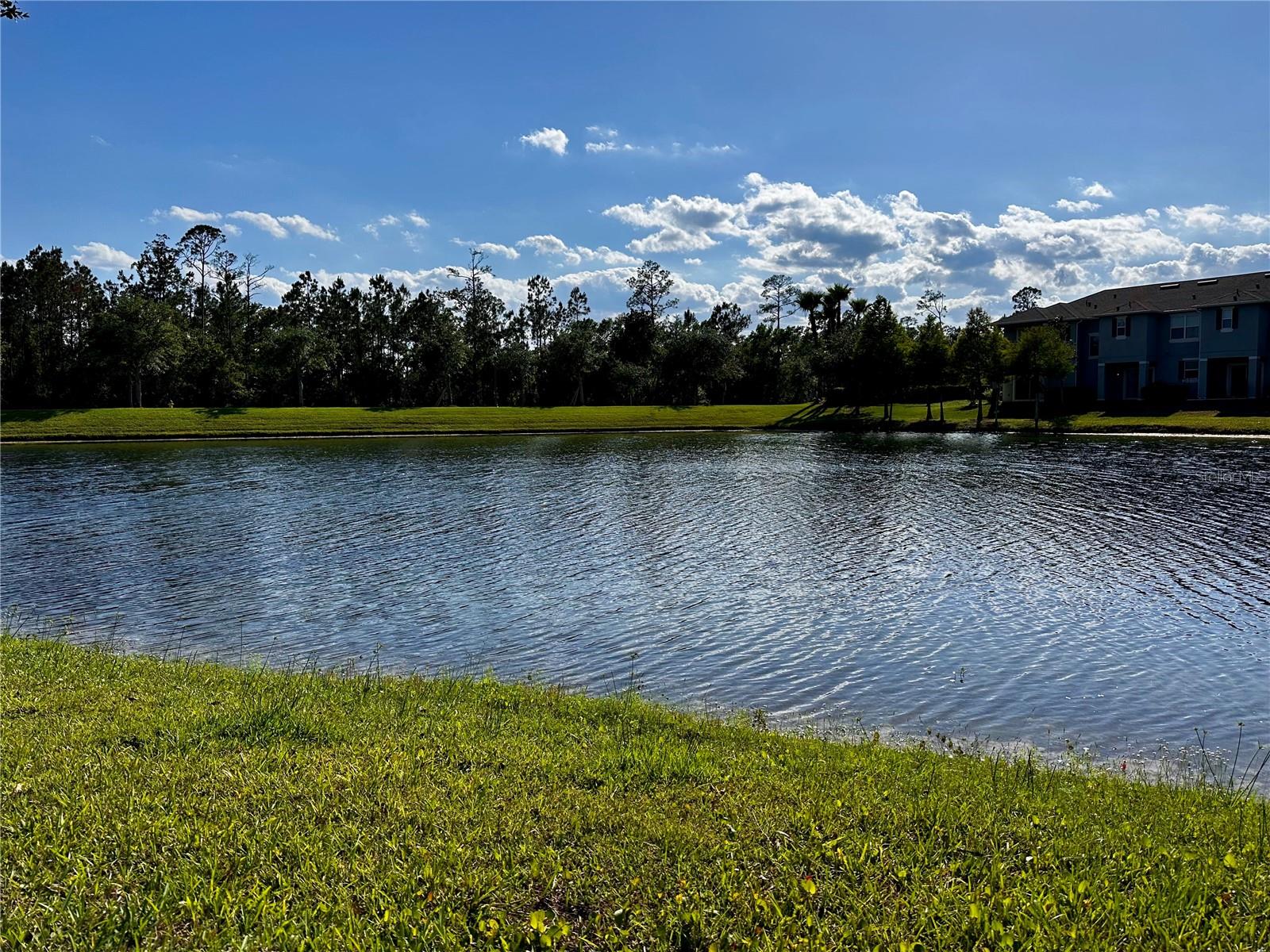 Image 16 of 21 For 147 Aston Grande Drive