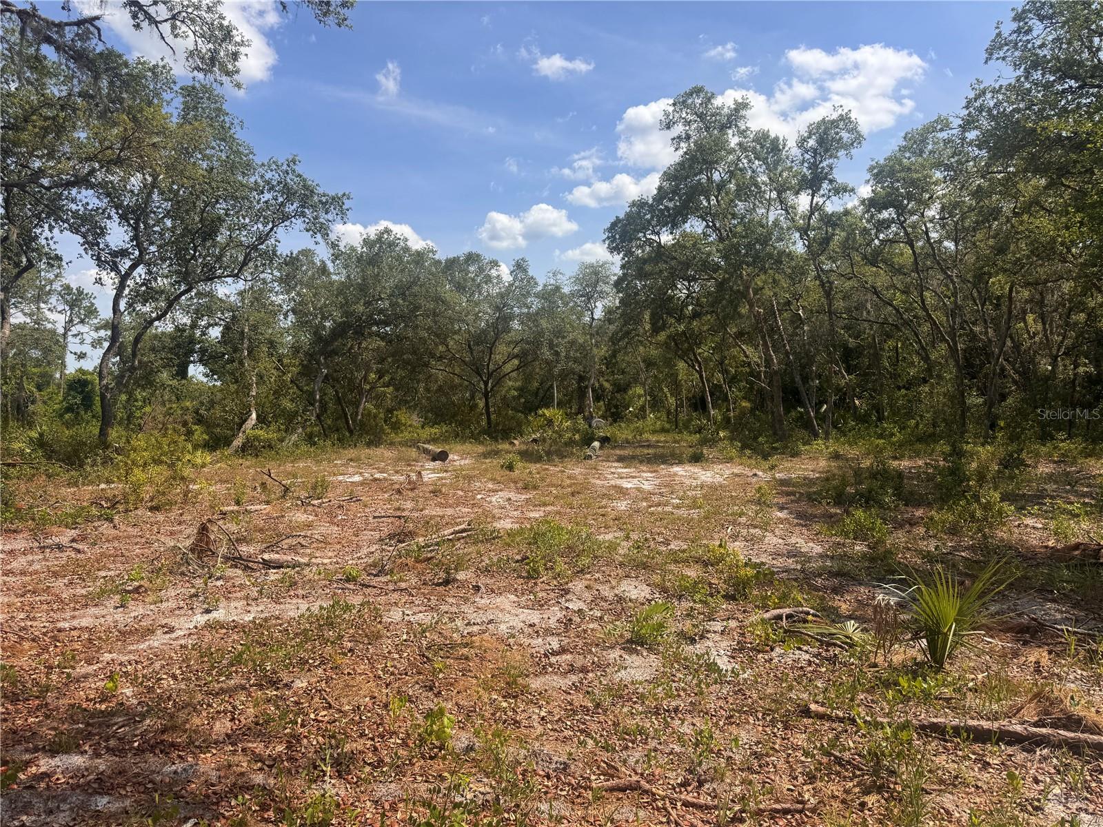 Image 10 of 12 For 1875 Stone Road