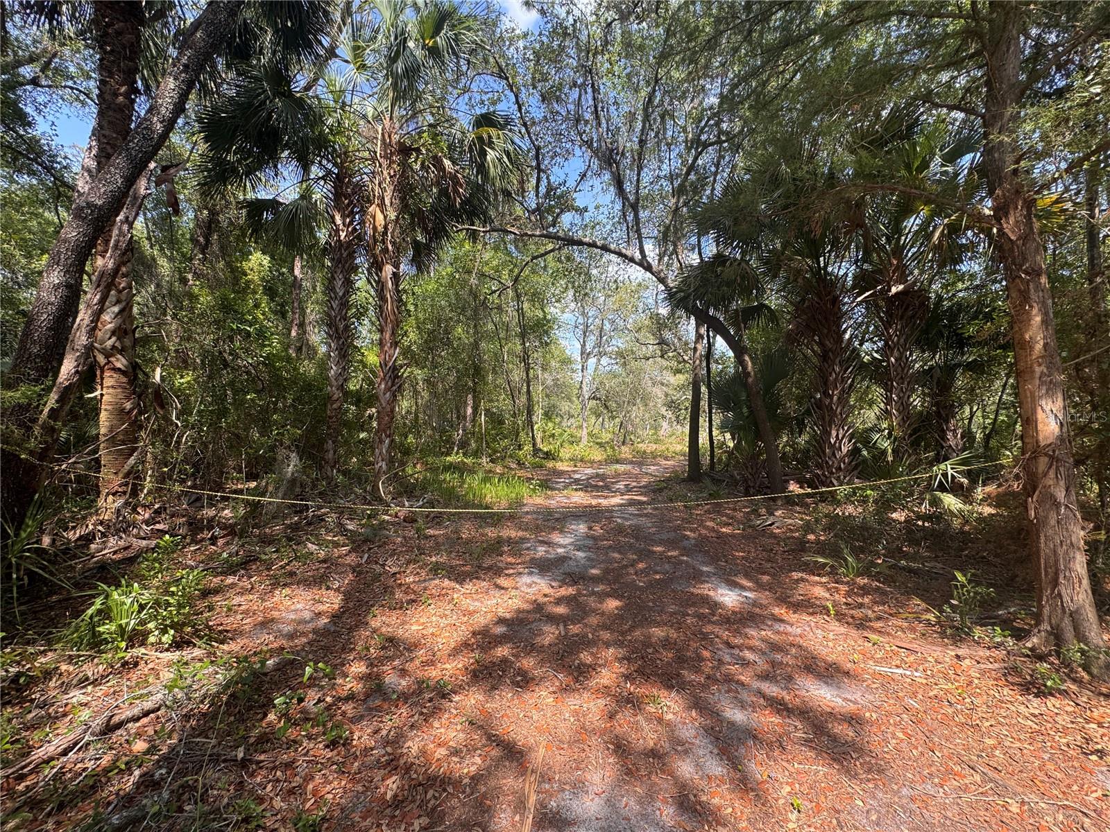 Image 8 of 12 For 1875 Stone Road