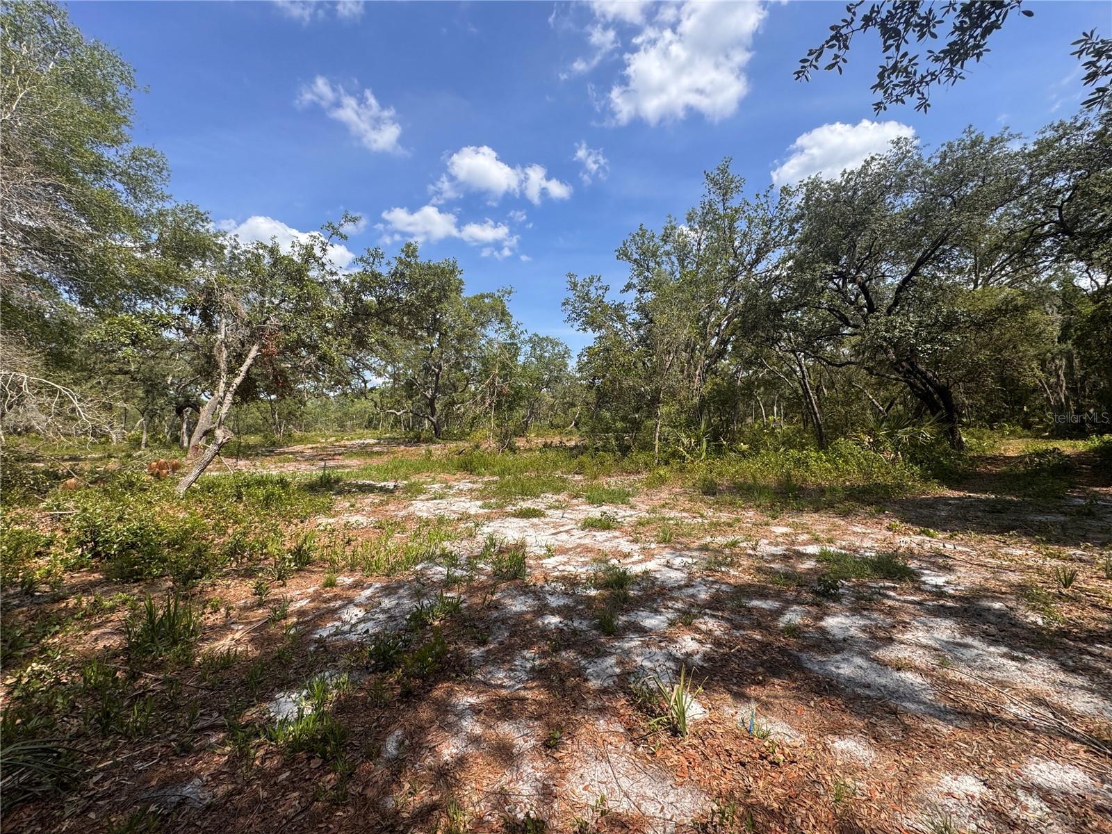 Image 9 of 12 For 1875 Stone Road