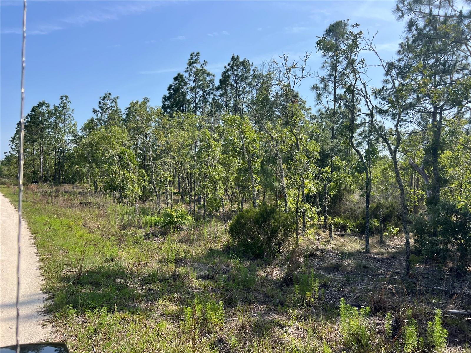 Details for 151st Avenue, WILLISTON, FL 32696