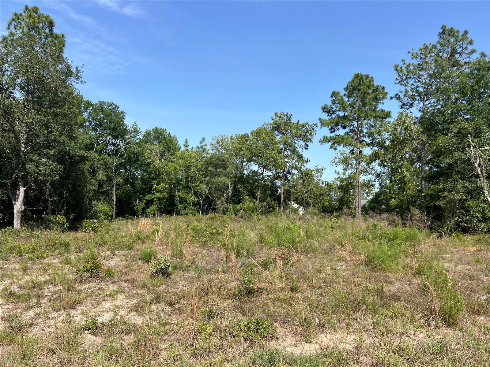 Details for  150th Ct  , WILLISTON, FL 32696