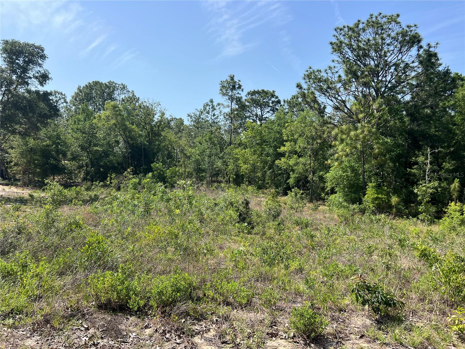 Details for 15151 3rd Place, WILLISTON, FL 32696