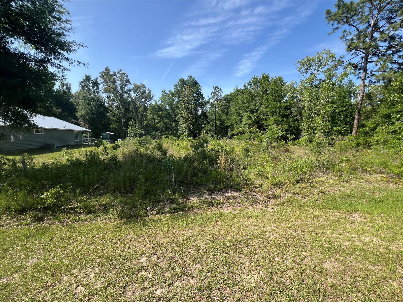 Details for  14th Pl  , WILLISTON, FL 32696