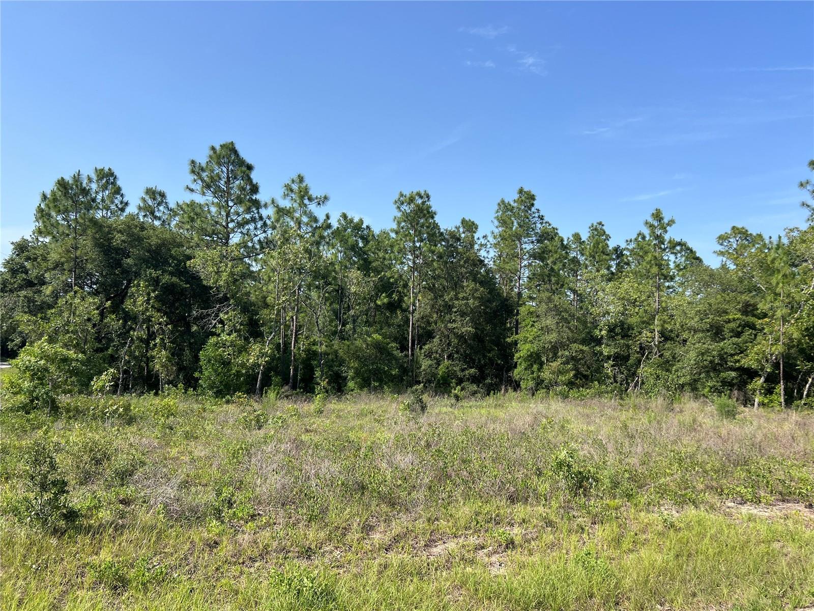 Details for 150th Avenue, WILLISTON, FL 32696