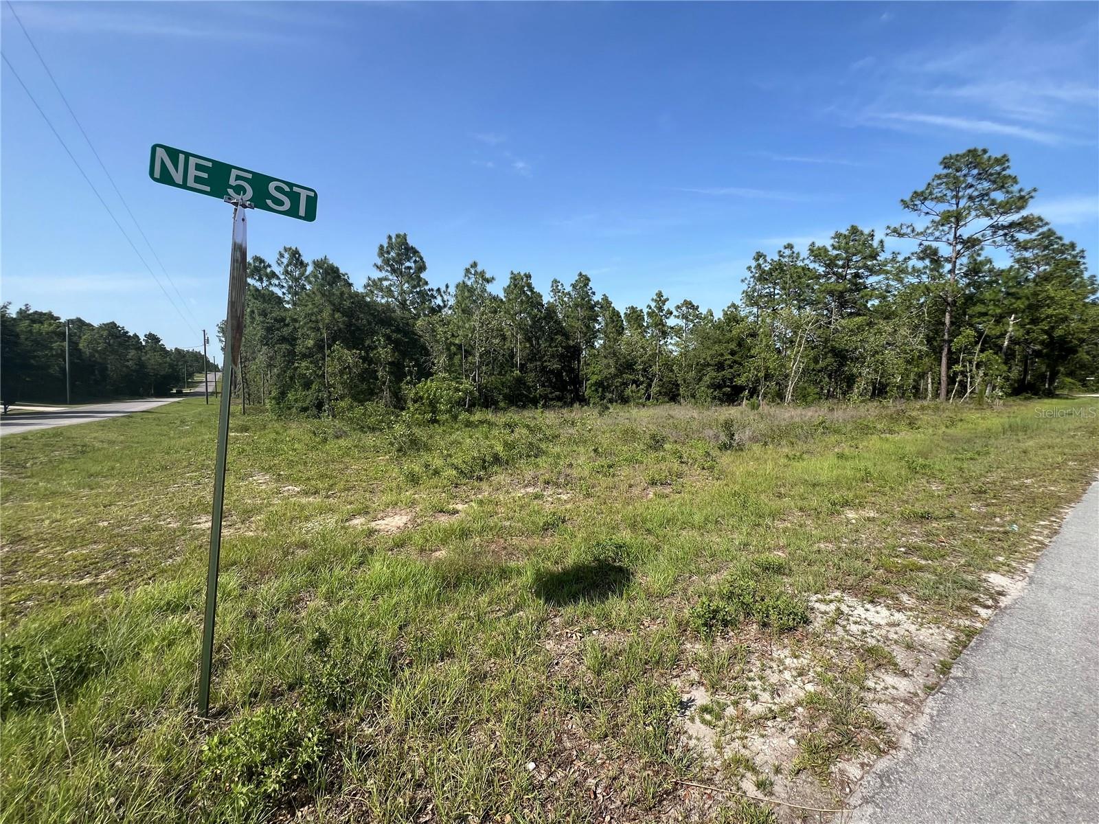 Image 4 of 4 For 150th Avenue