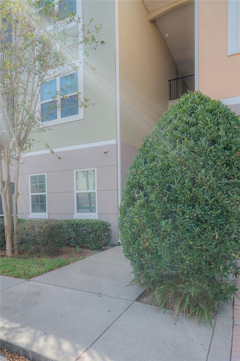 Image 2 of 91 For 3406 Soho Street 102