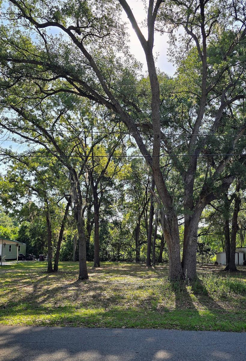 Listing Details for 16055 99th Terrace, SUMMERFIELD, FL 34491