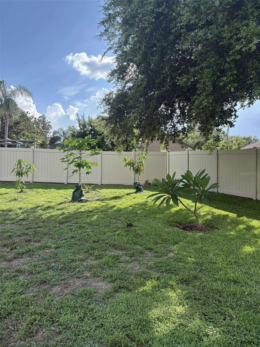 Image 44 of 45 For 11036 Bronson Road