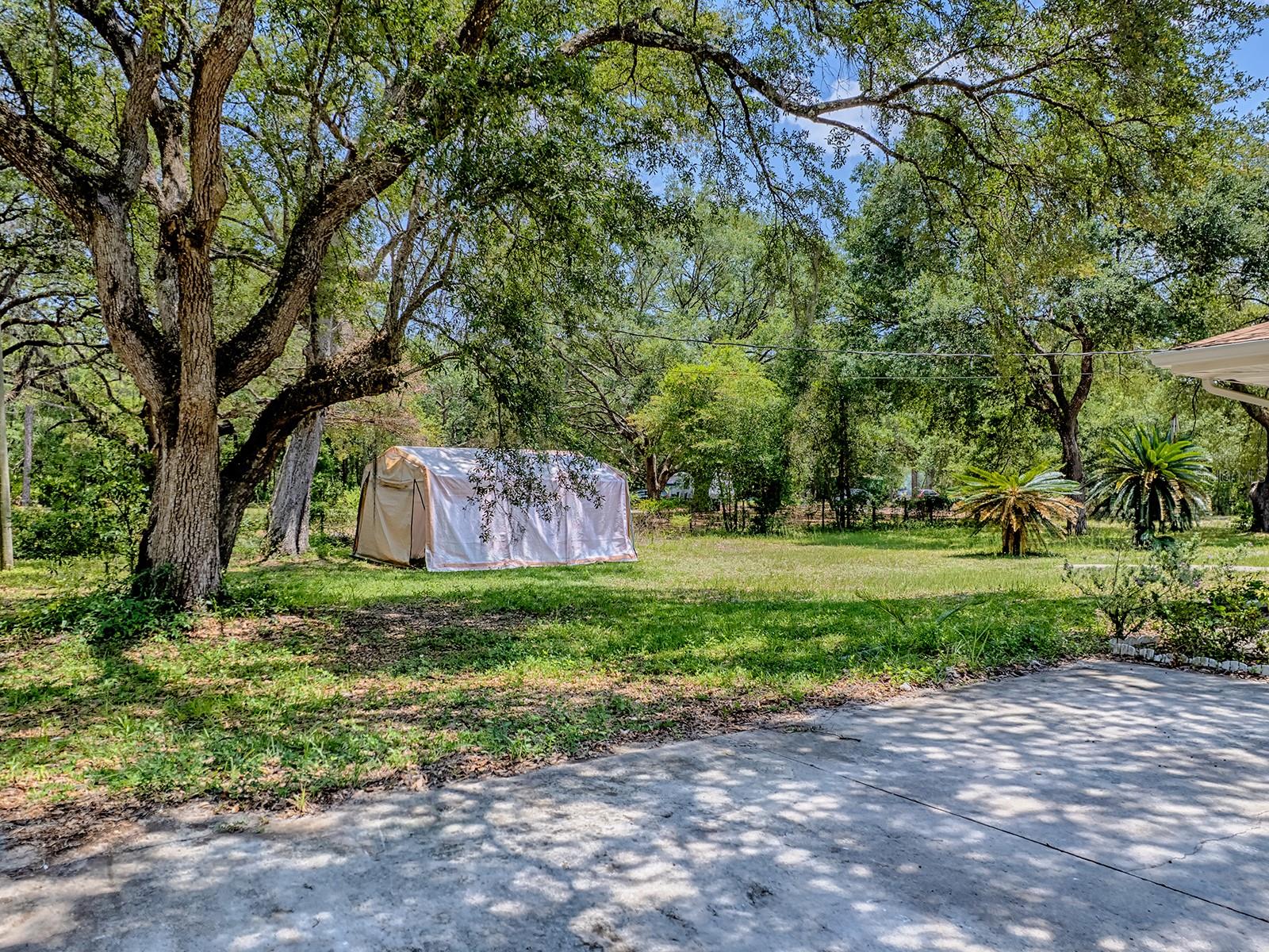 Image 62 of 64 For 9144 156th Place