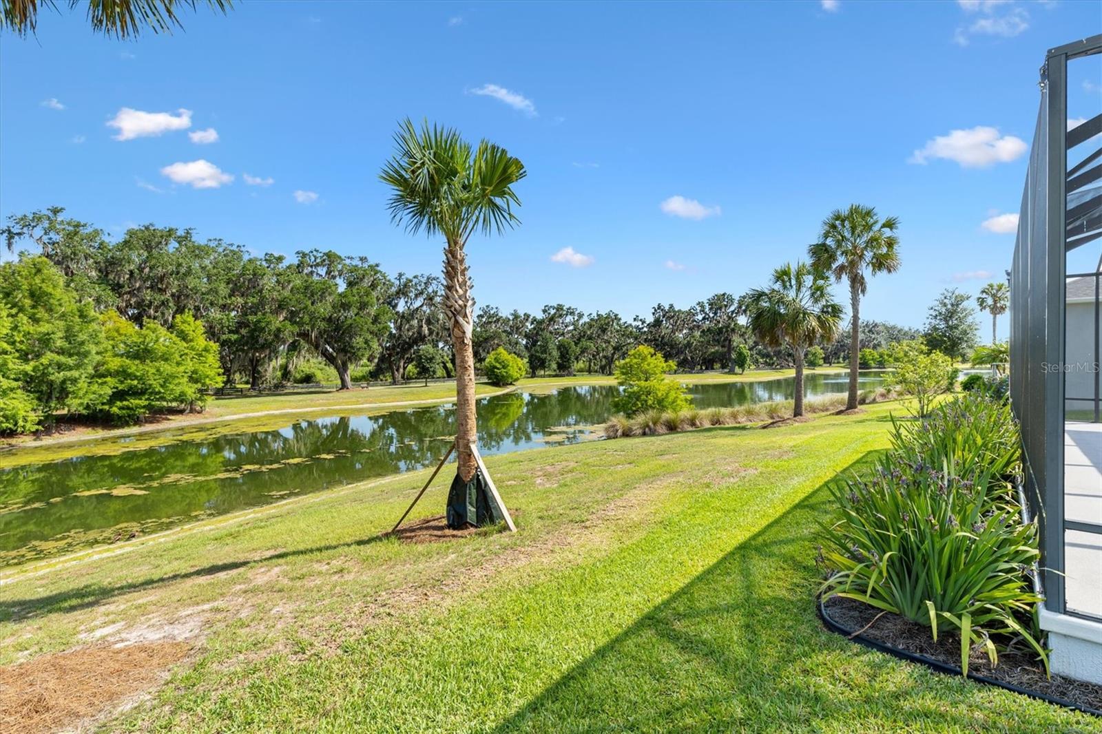 Image 42 of 51 For 2321 Demarco Drive