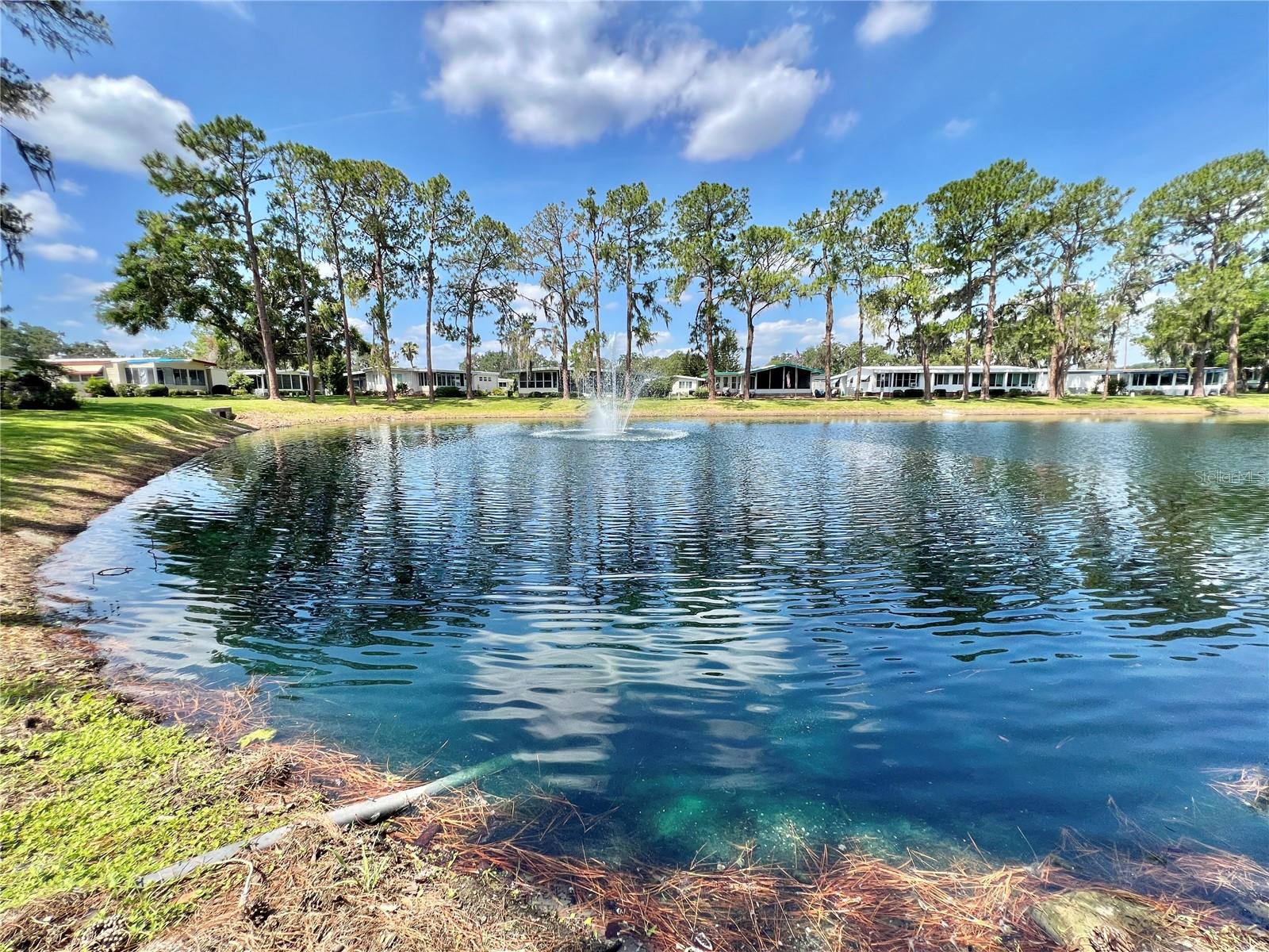 Image 23 of 83 For 105 Temple Cove W