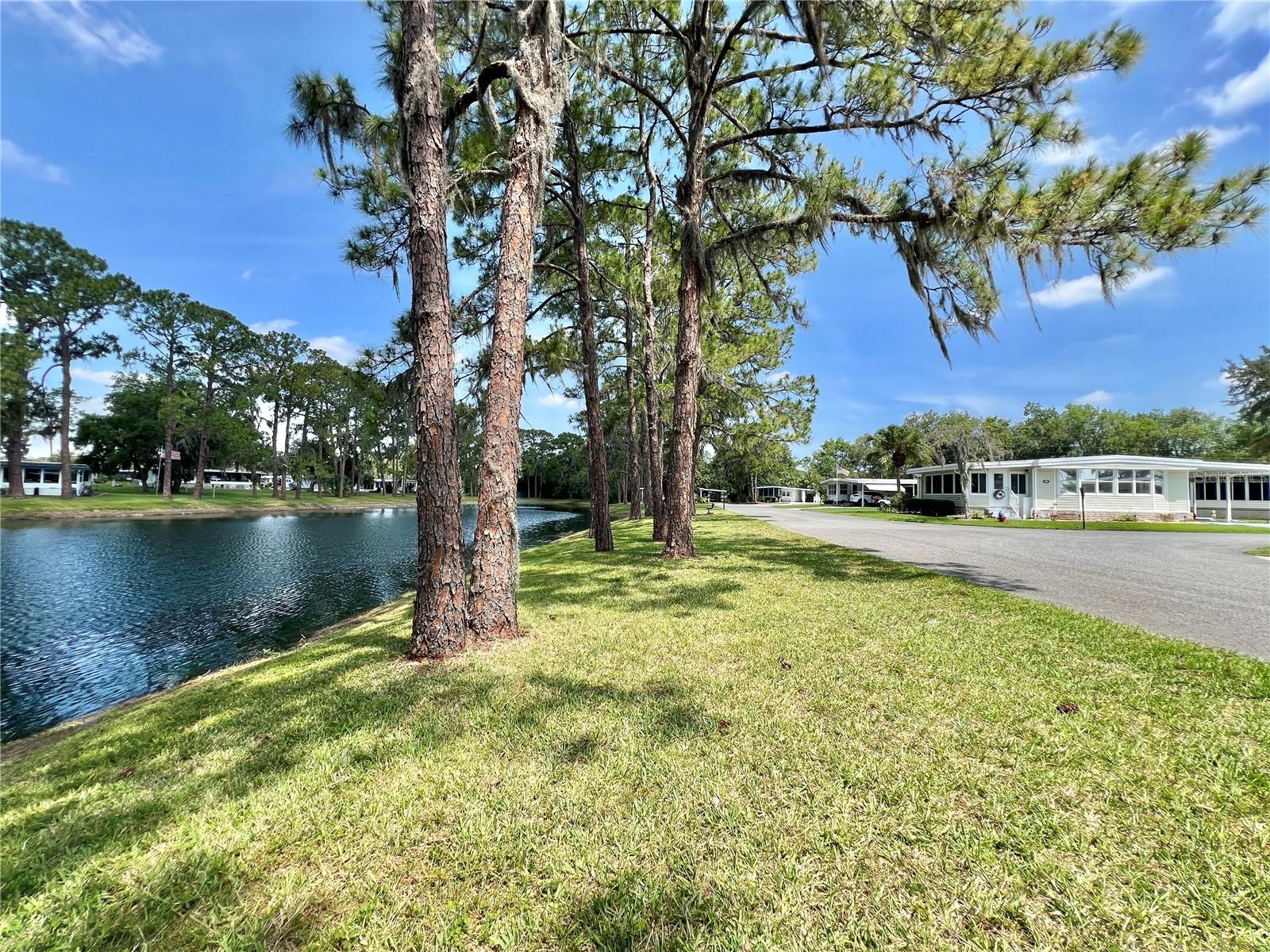 Image 6 of 83 For 105 Temple Cove W