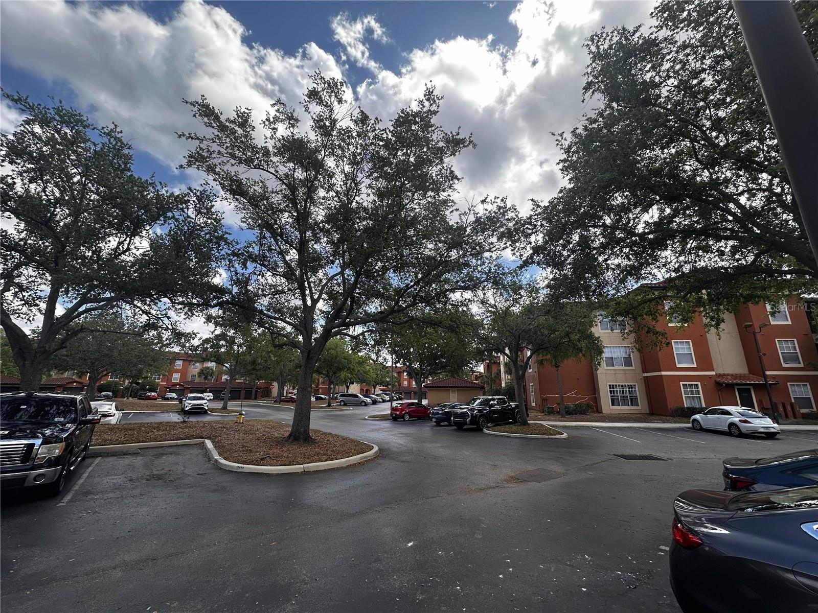Image 31 of 42 For 5560 Metrowest Boulevard 3-204