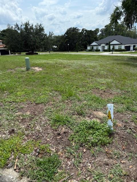Image 2 of 12 For Osprey Pointe Boulevard
