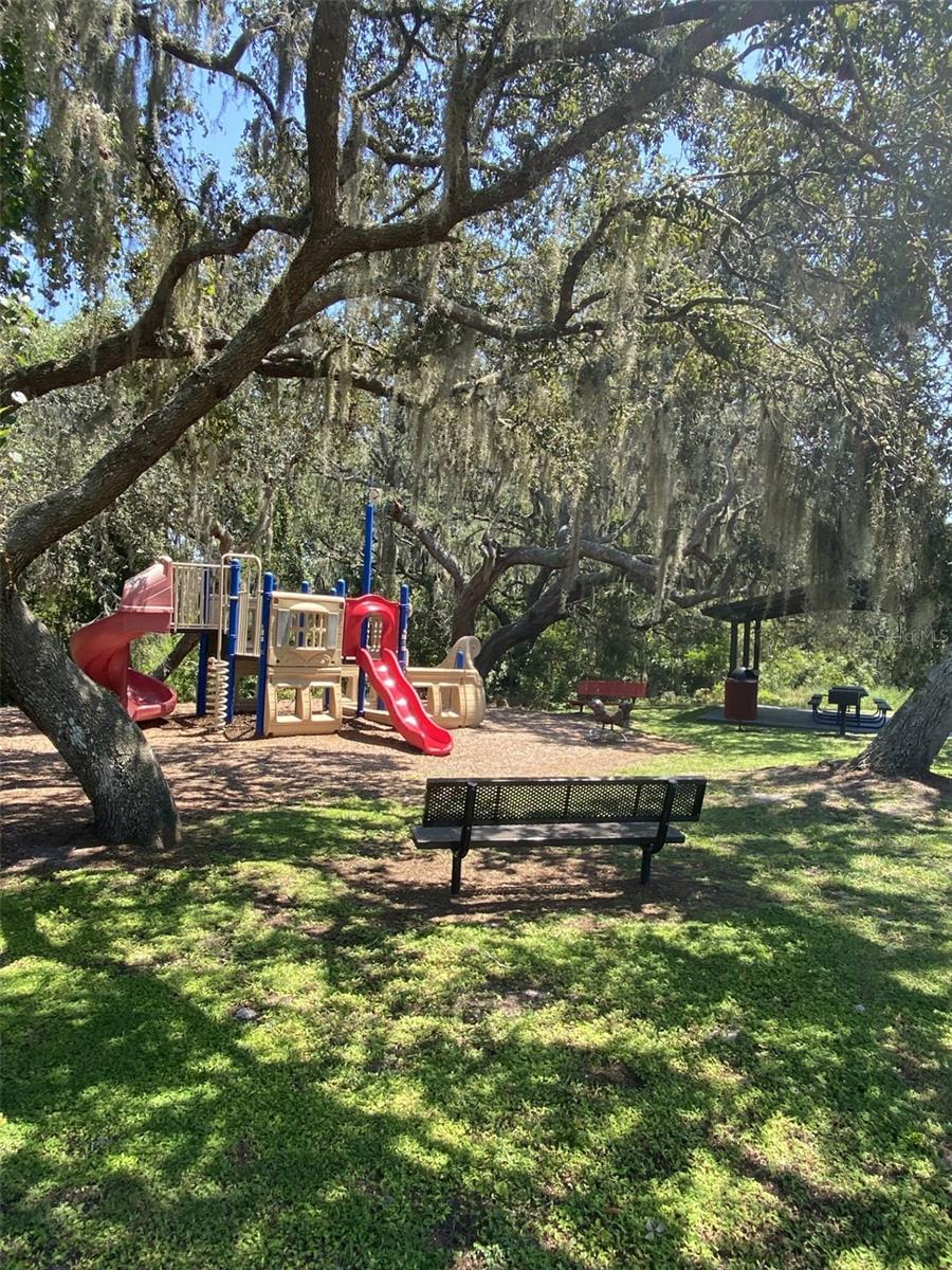 Image 50 of 50 For 11313 Little Nellie Drive