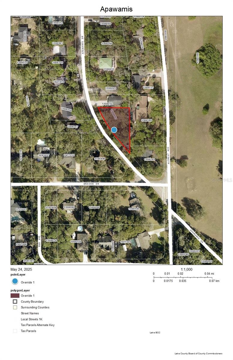 Image 3 of 8 For Apawamis Drive