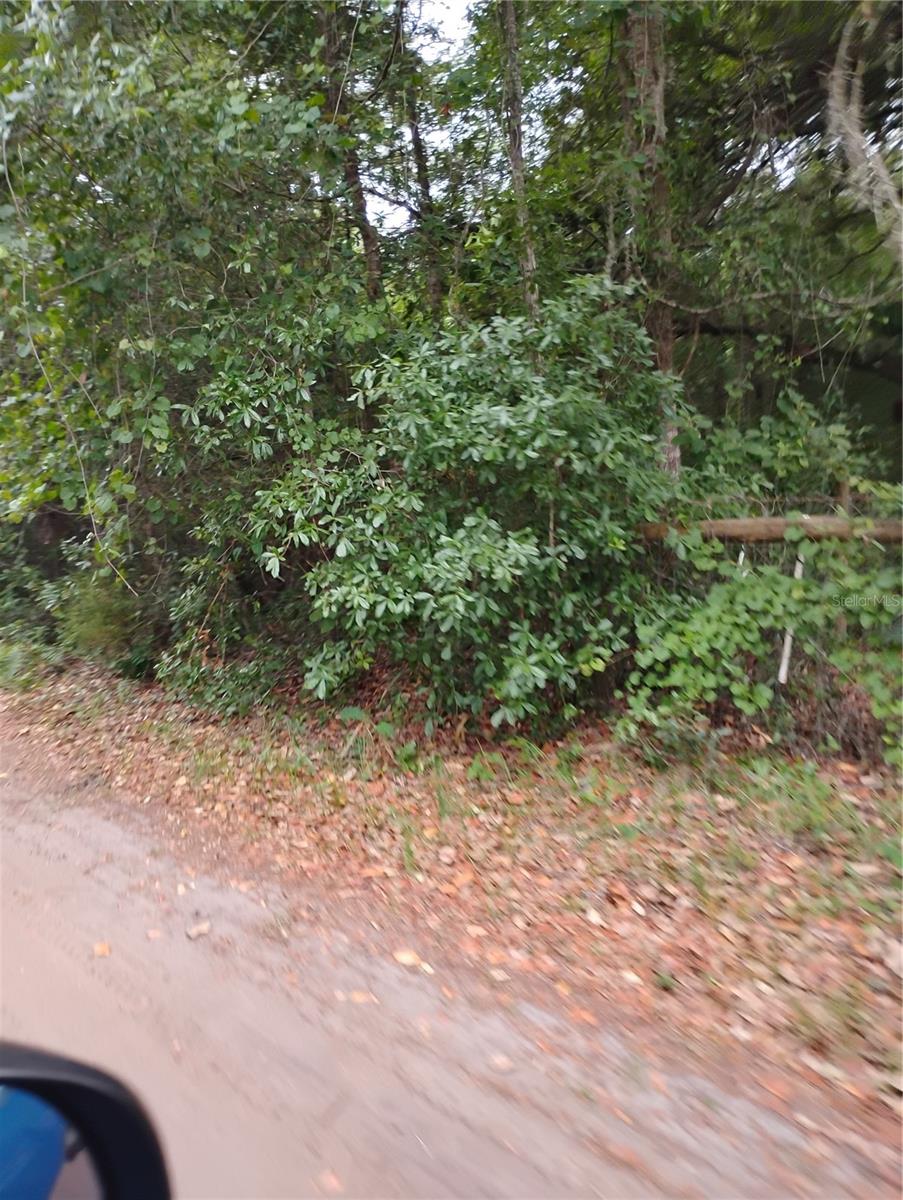 Listing Details for  146th Pl  , FORT MC COY, FL 32134