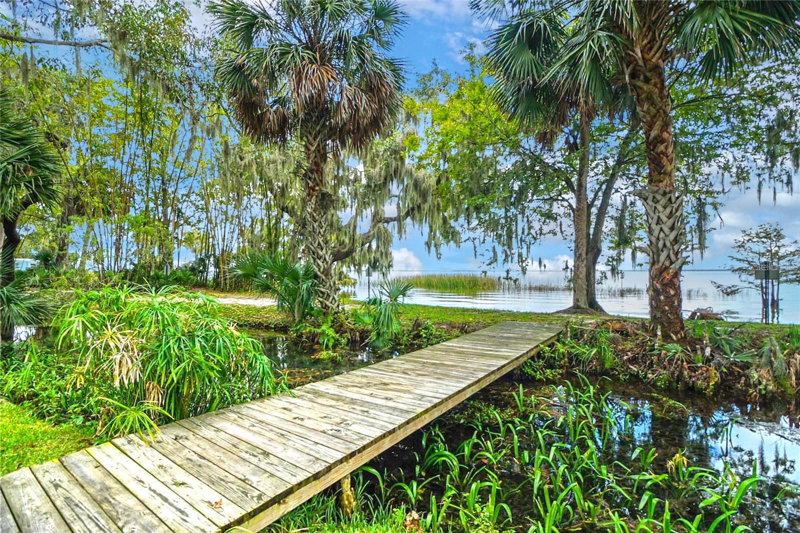 Image 33 of 42 For 33 Palm Drive