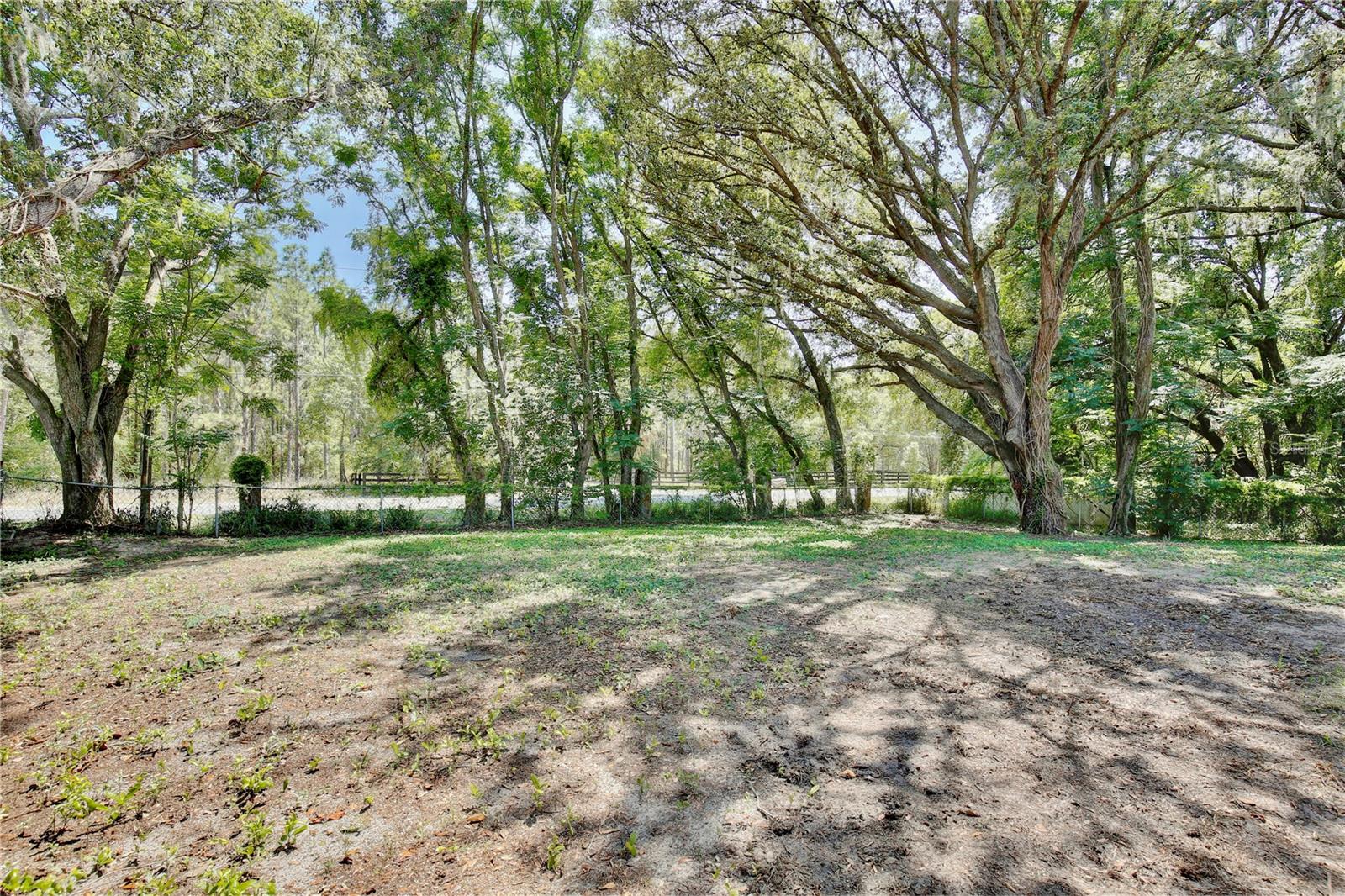 Image 19 of 22 For 1228 Padgett Circle