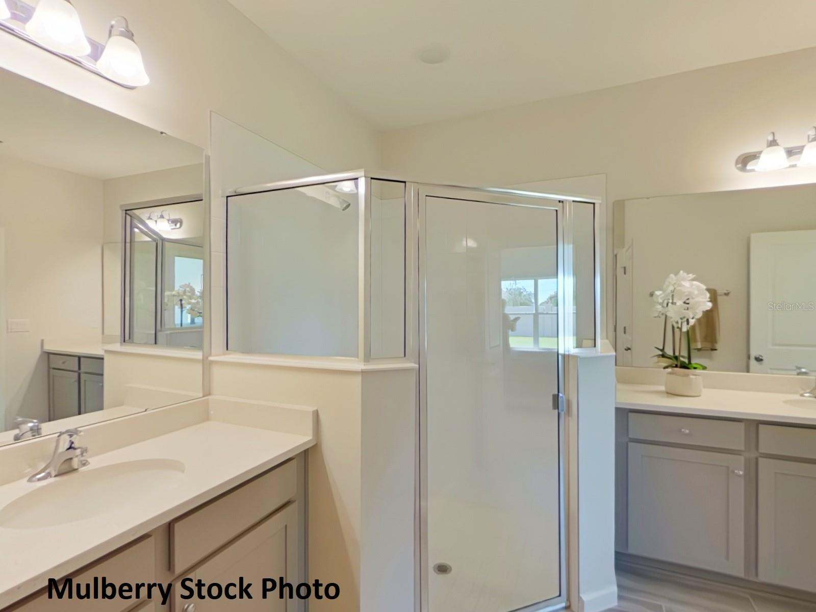 Image 4 of 6 For 504 Silver Palm Drive