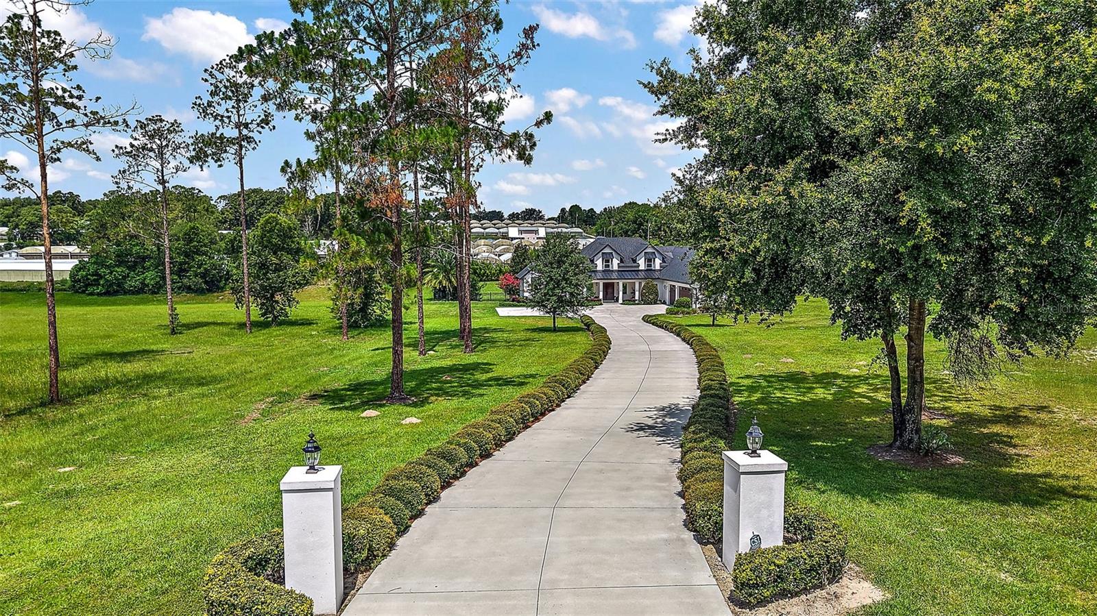 Image 2 of 52 For 35449 Pinegate Trail
