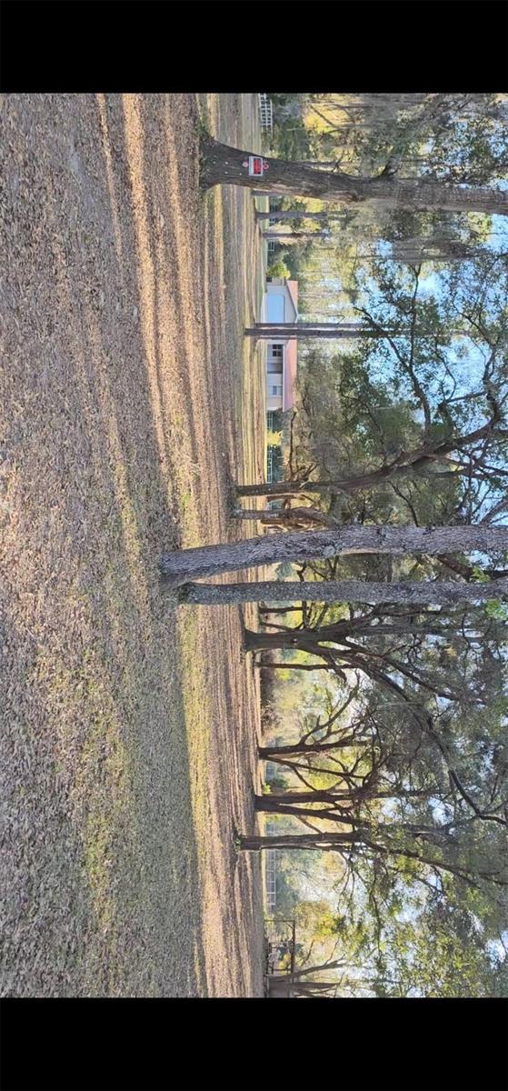 Listing photo id 27 for 11740 Highway 25