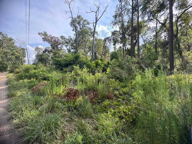 Details for  58th Street , WEBSTER, FL 33597