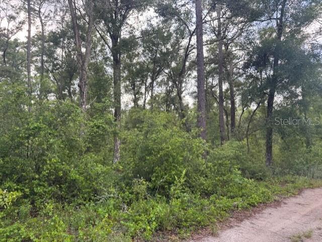 Image 6 of 11 For  58th Street 