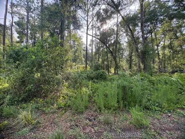 Image 8 of 11 For  58th Street 