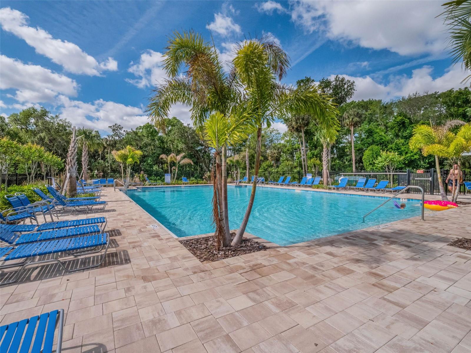 Image 50 of 59 For 29810 Anahid Dr