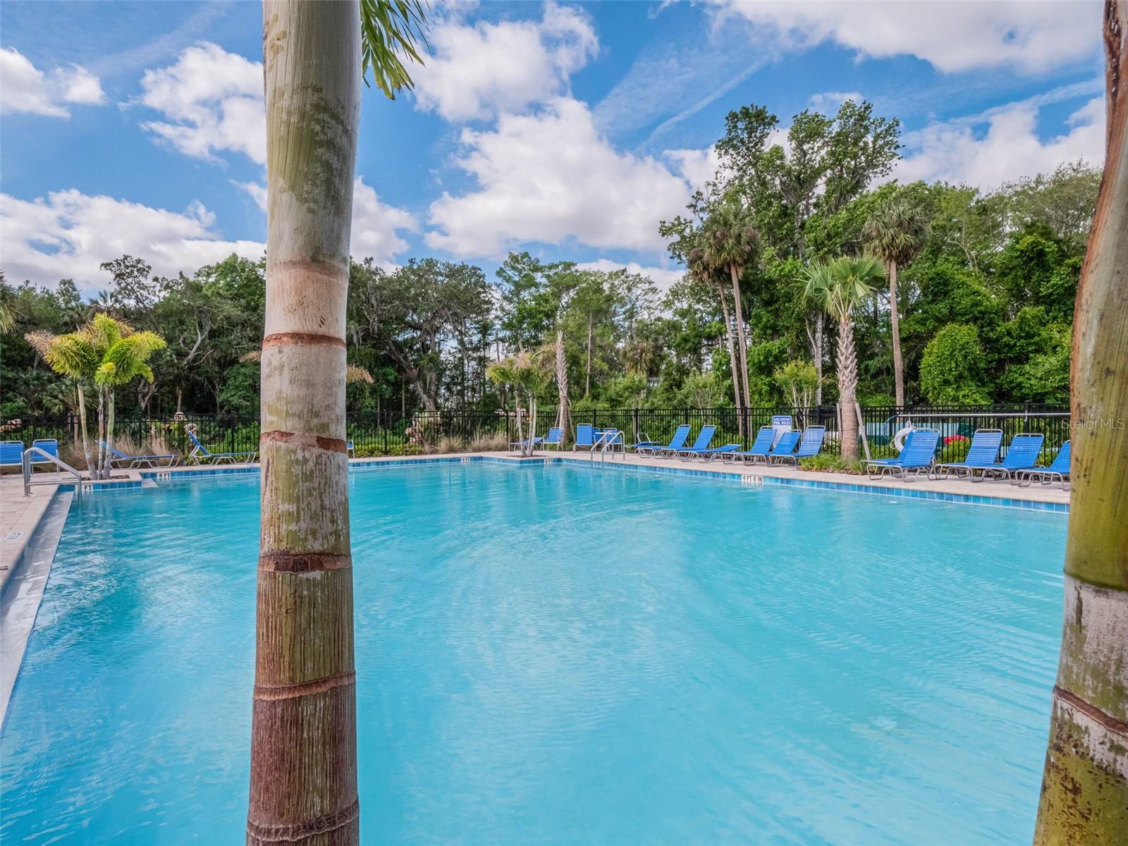 Image 51 of 59 For 29810 Anahid Dr