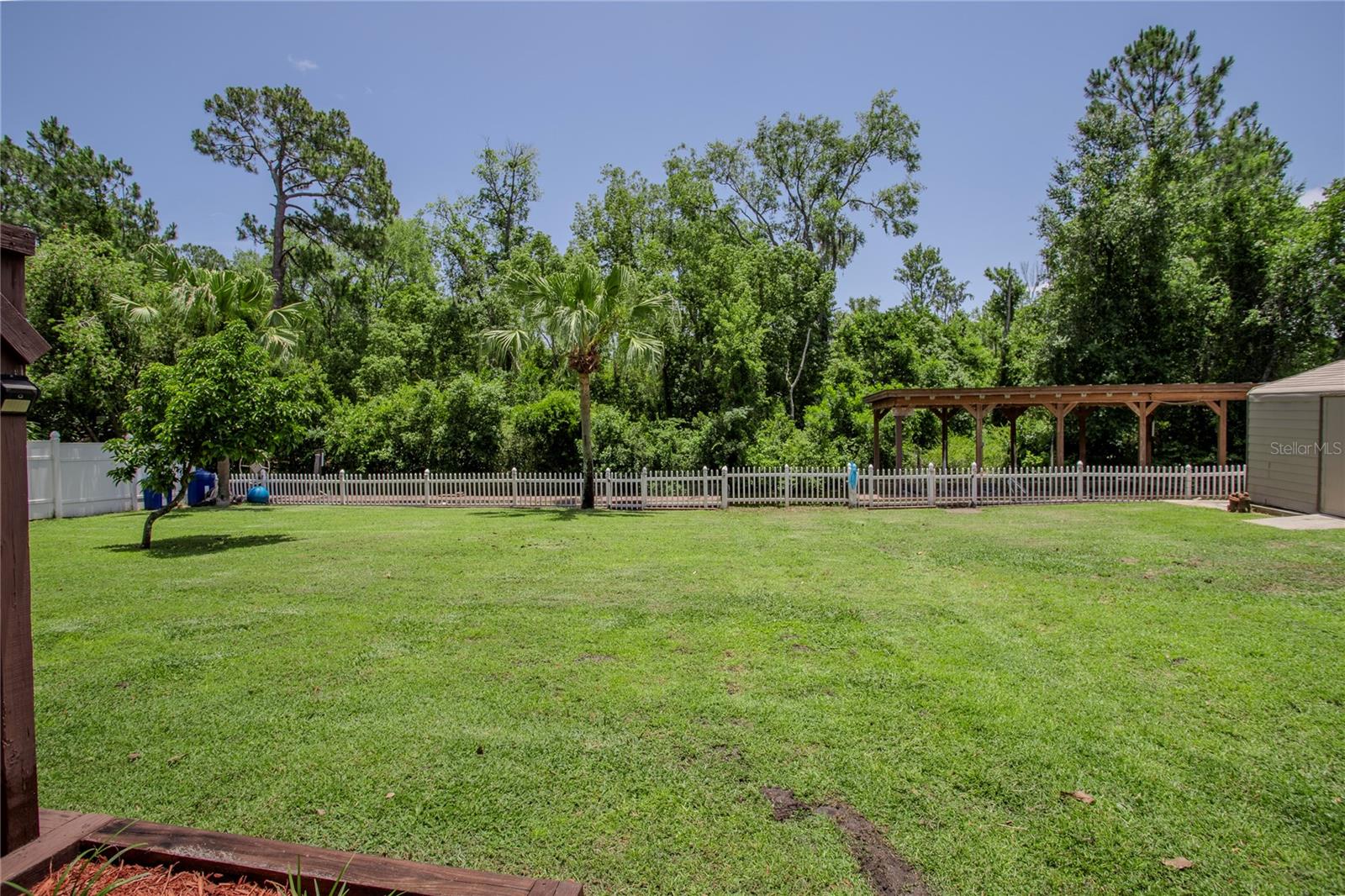 Image 38 of 47 For 11418 Lake Eustis Drive