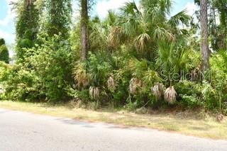 Image 5 of 9 For Bushnell Avenue