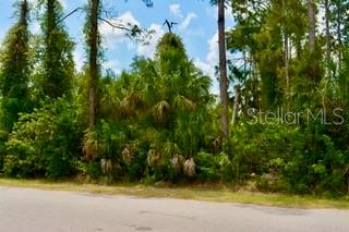 Image 7 of 9 For Bushnell Avenue